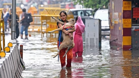 Delhi rain: A woman carries a dog as she wades through a severely waterlogged road following heavy rainfall, in New Delhi on Friday. (ANI Photo/Ishant)