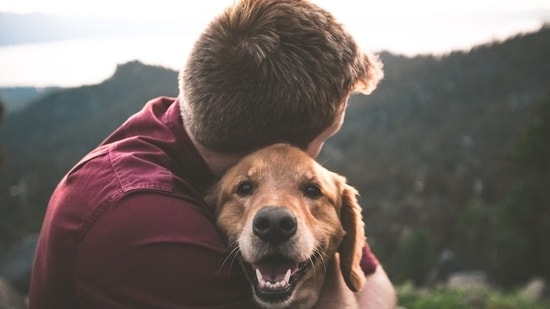 Dogs are our furry best friends. Our pets, without exchanging a word with us, occupy the largest parts of our hearts. Spending time with them makes us feel happier and drives our blues far away. Dogs can help in combating anxiety as well – mentioned Psychologist Carolyn Rubenstein. Here's how spending time with your dog can help you beat anxiety.(Unsplash)