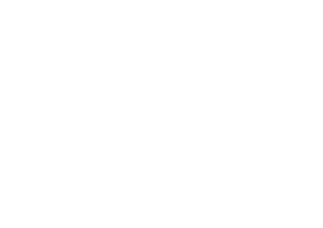 Athena SWAN Bronze Award logo