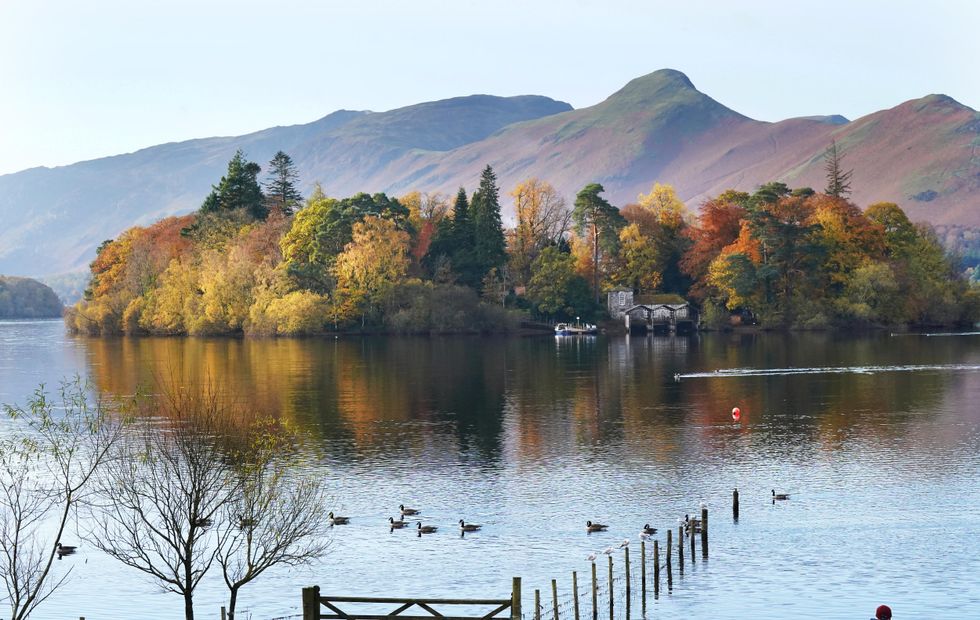 In Pictures: Nature puts on a show with sunshine highlighting autumn colours