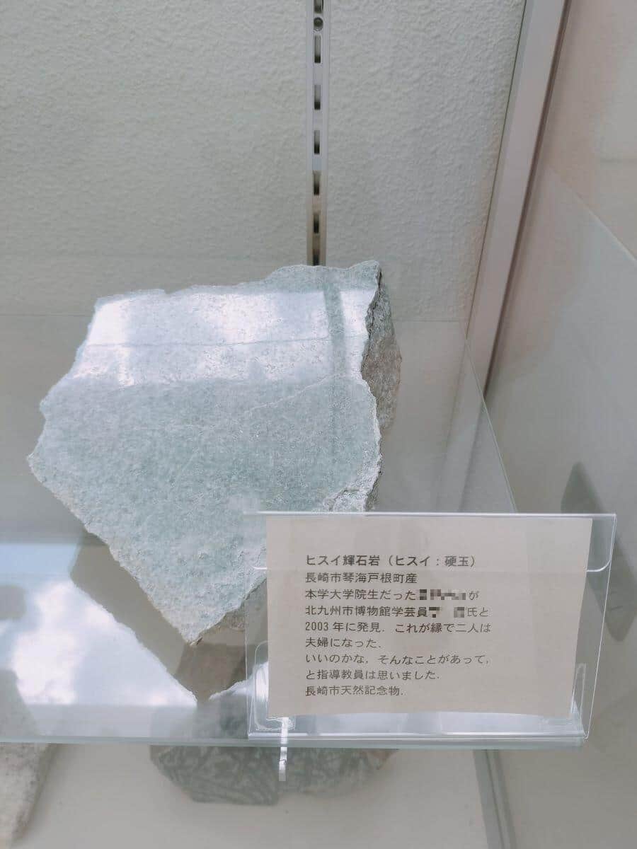 「これが縁で二人は夫婦に」熊本大の展示に思わぬ説明文　13万いいねのほっこり展示、作成経緯を聞いた