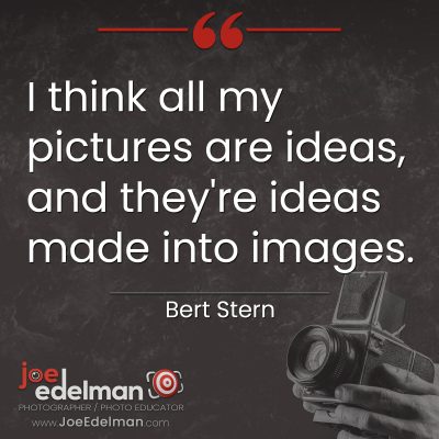 "I think all my pictures are ideas, and they're ideas made into images." - Bert Stern