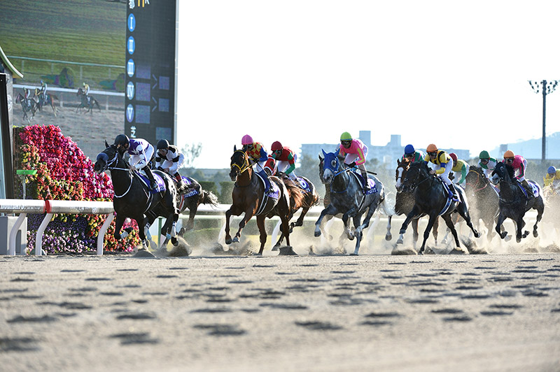 2018年にJRA京都競馬場で行われたJBC