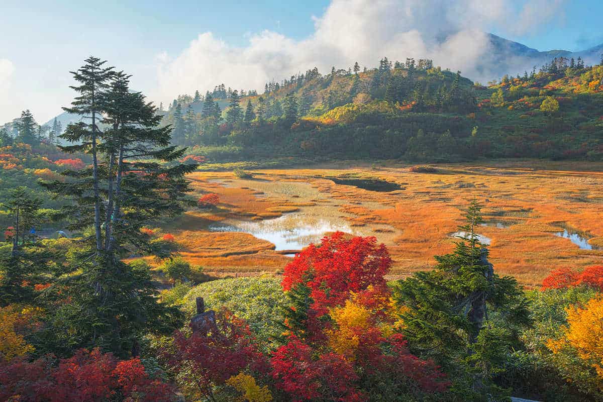 日本9月淡季旅遊｜11大初秋好去處北海道/東京/關西景點 富士山秋櫻＋竹田城雲海＋葡萄放題