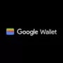 Google Wallet has been launched in India.