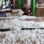 A silk cocoon market in Ramnagara, Karnataka. Reshamandi is a a business-to-business marketplace for silk products, (File Photo: Mint)