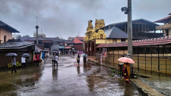 Pedestrians use umbrellas during rains, in Udupi district of Karnataka, Monday, July 8, 2024. (PTI Photo)