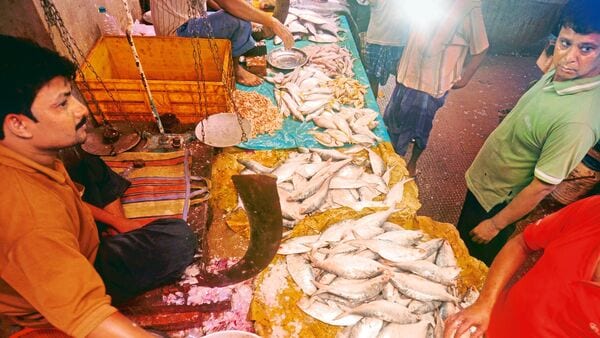 In Kolkata's wholesale fish markets, Padma ilish, or Hilsa from its Padma river, a Hilsa fish of 1.5kg now costs  ₹2,000-2,200, up  ₹600 from last year.  (Mint)