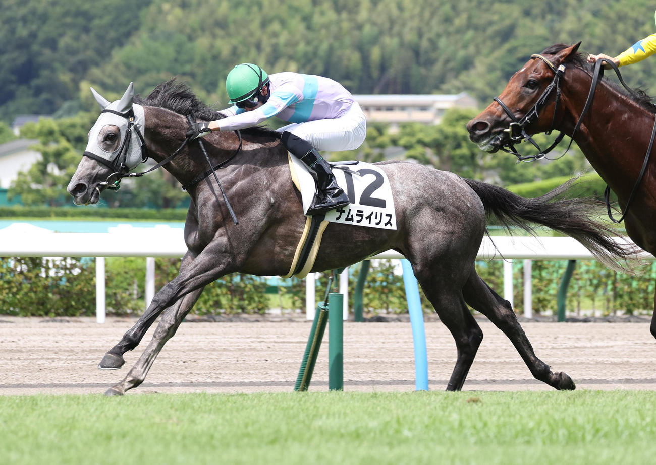 小倉2R、柴田裕騎手を背に3歳未勝利を勝ち上がったナムライリス（撮影・白石智彦）