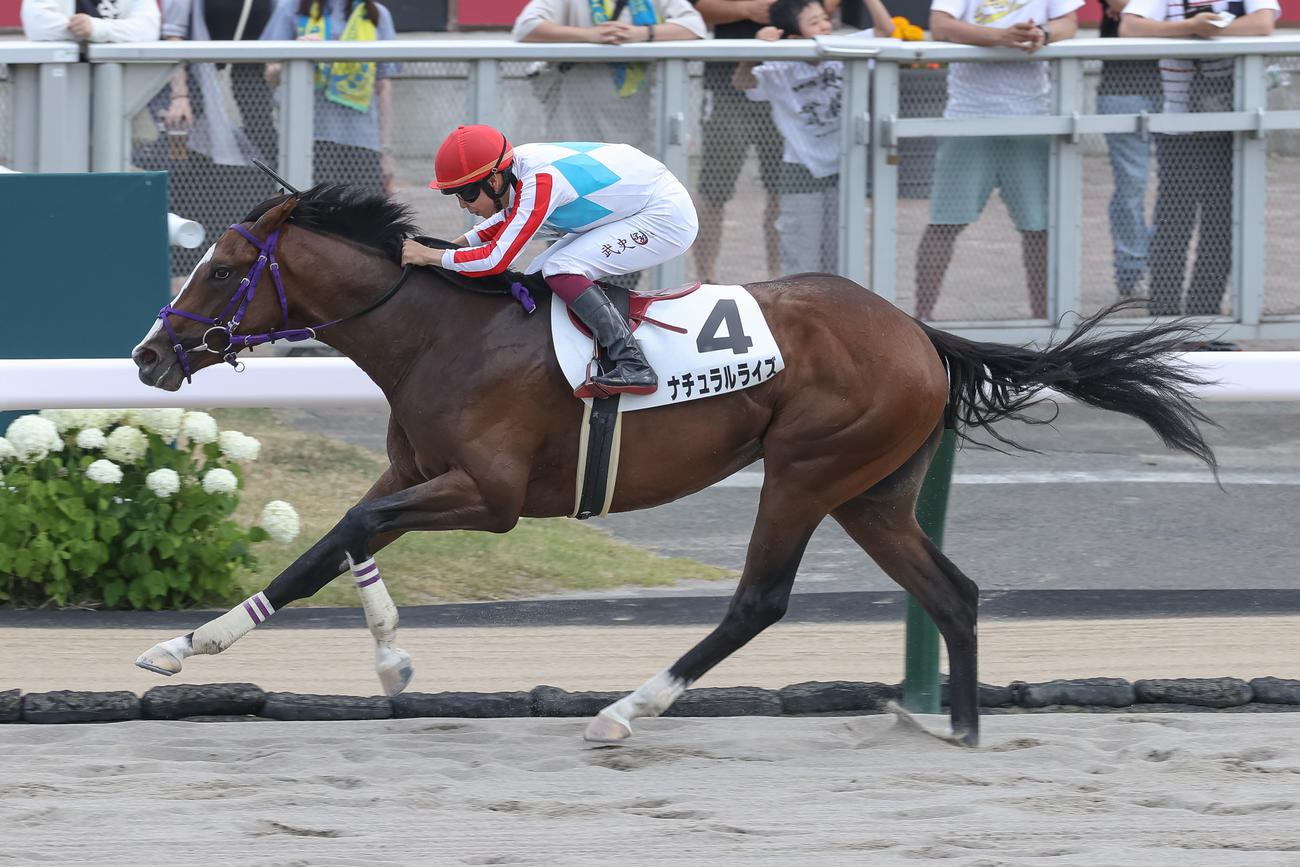 デビュー戦を制したナチュラルライズと横山武騎手（撮影・村野早祐）