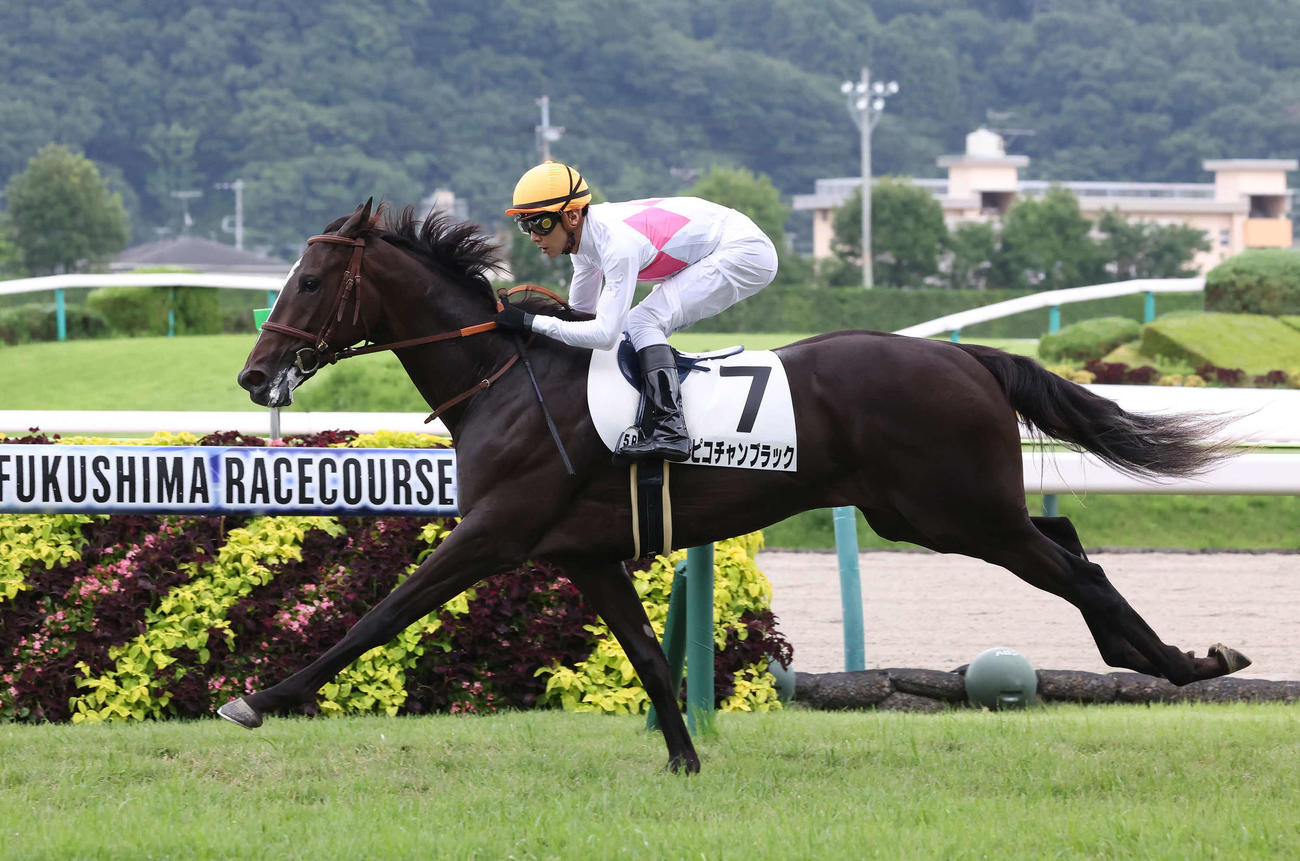 福島5R、2歳新馬戦を逃げ切ったピコチャンブラックと石橋騎手（撮影・丹羽敏通）