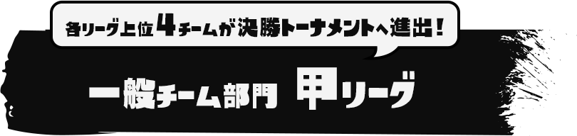 一般チーム部門 甲リーグ