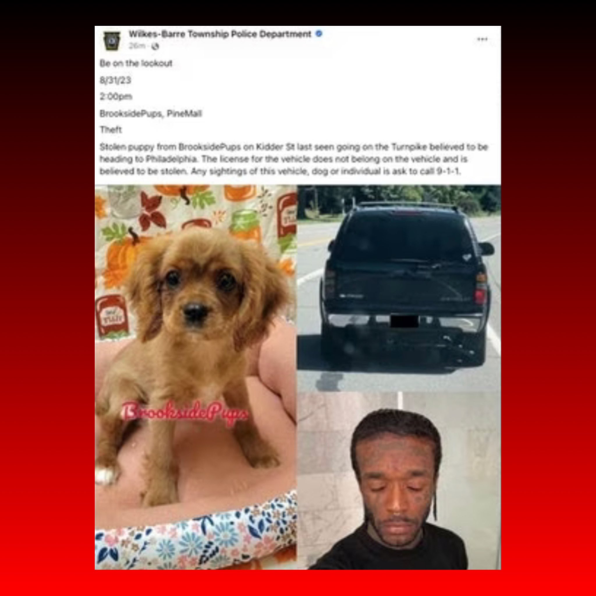 Lil Uzi Vert puppy story