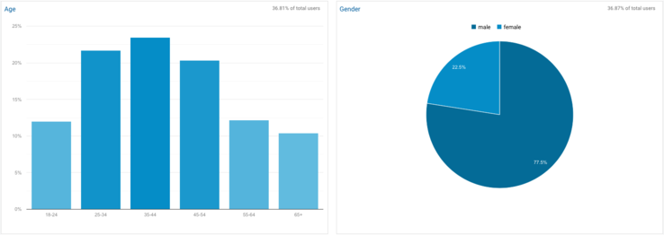 Google Analytics Demographics