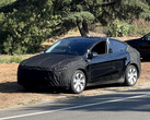 Tesla Model Y Juniper Refresh lässt sich endlich blicken: Launch Anfang 2025 wahrscheinlich (Bildquelle: u/JackIJack auf Reddit)