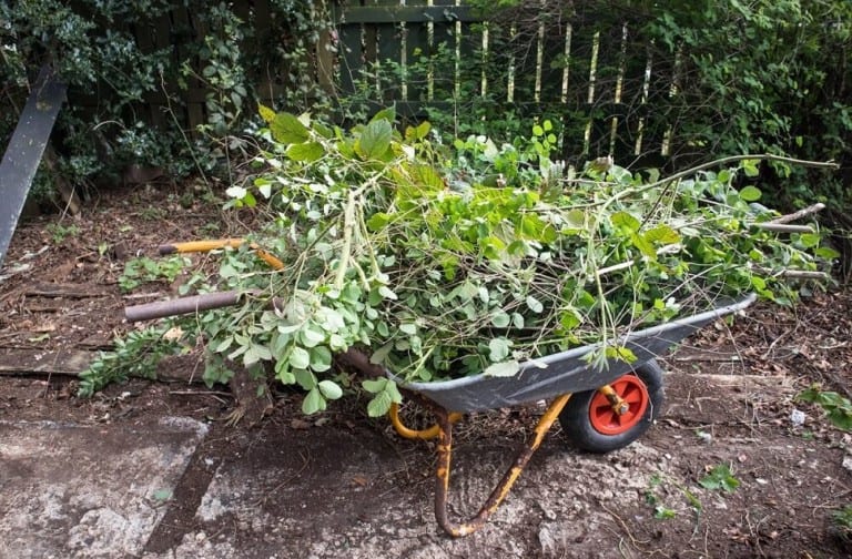 yard waste ready for the compost mulcher