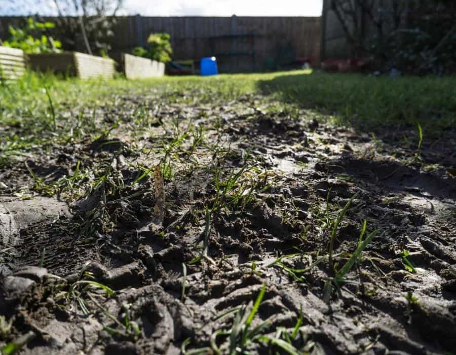 muddy garden soil