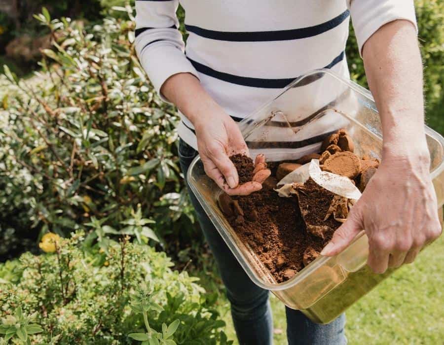 coffee grounds for improving garden soil