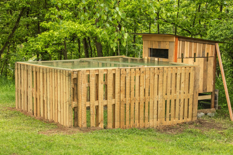 diy pallet chicken coop in rural backyard farm