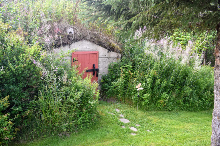 old diy root cellar in newfoundland canada