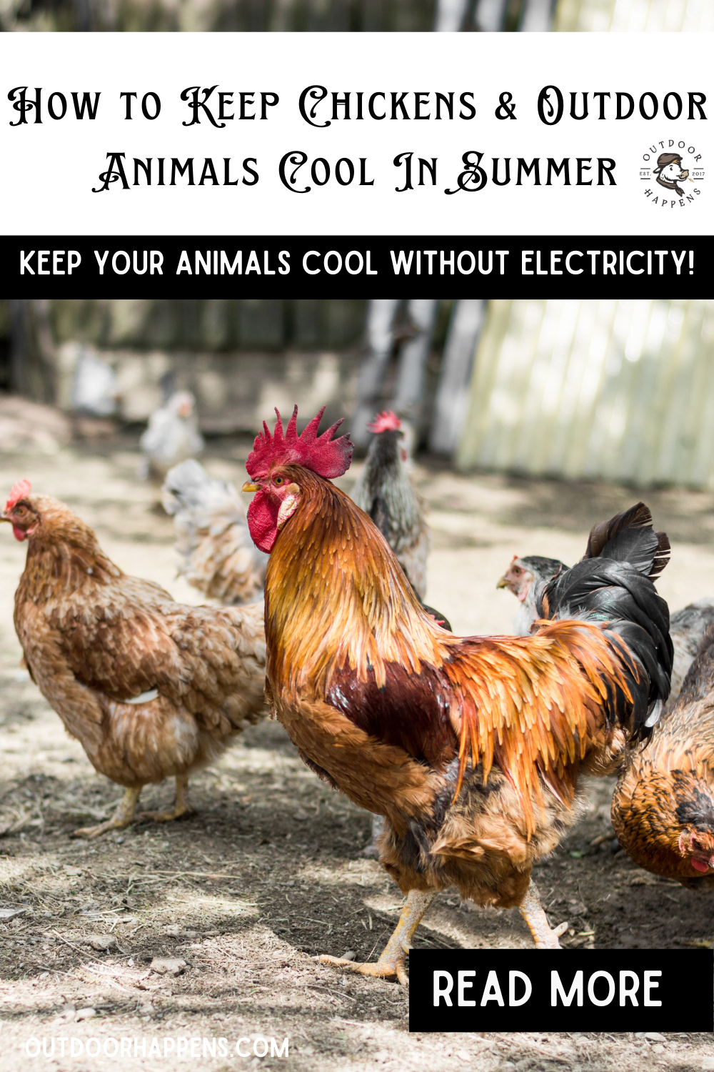 How to Keep Chickens & Outdoor Animals Cool In Summer Keep Your Animals Cool Without Electricity!