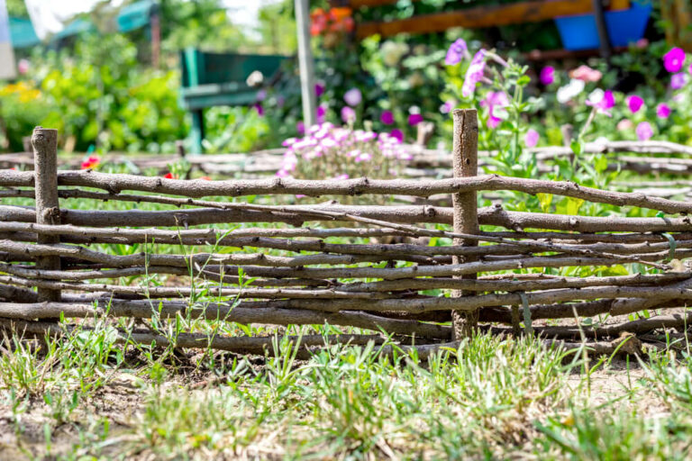 wicker branch and flower fence in the garden