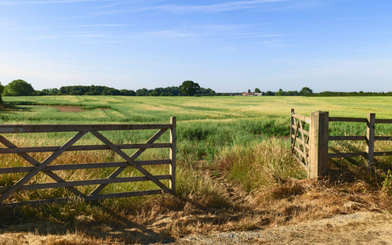 open farm gate with a welcoming green pasture landscape