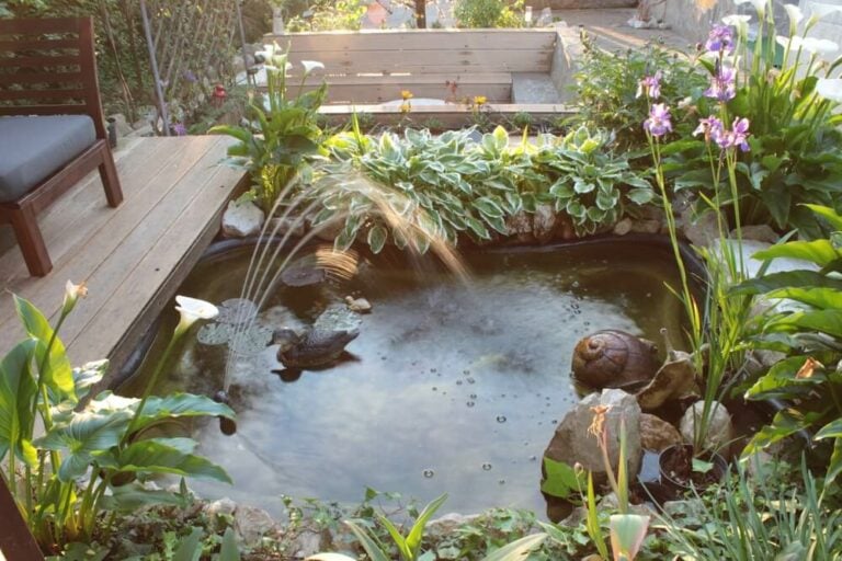 custom made duck pond with plants and pink flowers