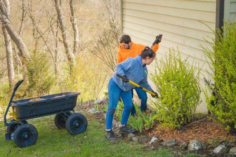 Two homesteaders maintaining and cleaning their garden.