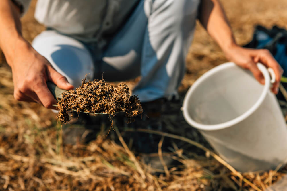 Collecting garden soil for testing and amendment.