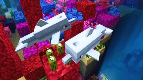 Minecraft mobs: Two dolphins, a Minecraft neutral mobs, swim among colourful coral blocks