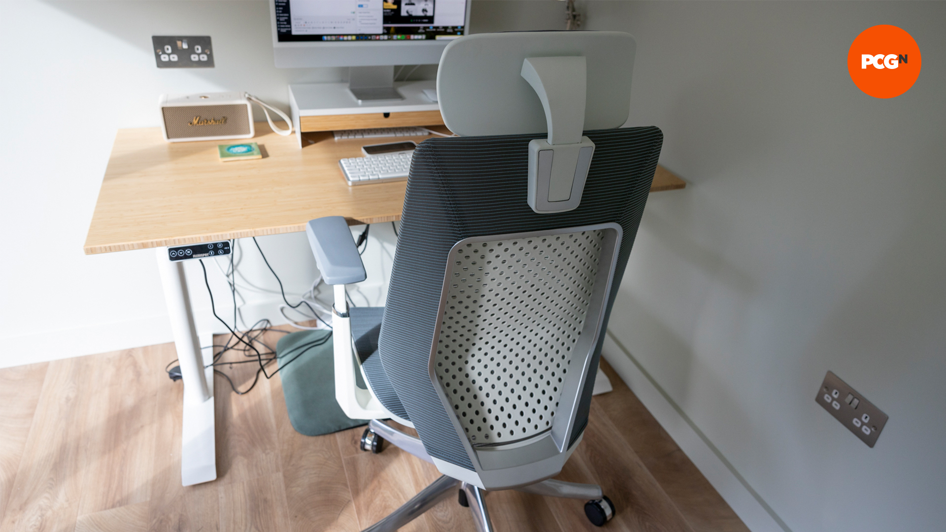 The FlexiSpot BS11 Pro chair in a home office