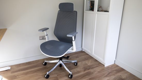 The FlexiSpot BS11 Pro chair in a home office