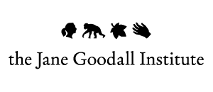 Jane Goodall Institute logo