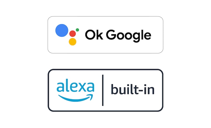 Logos of OK Google and Alexa built-in