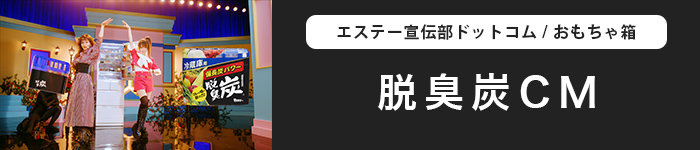 脱臭炭 / おもちゃ箱