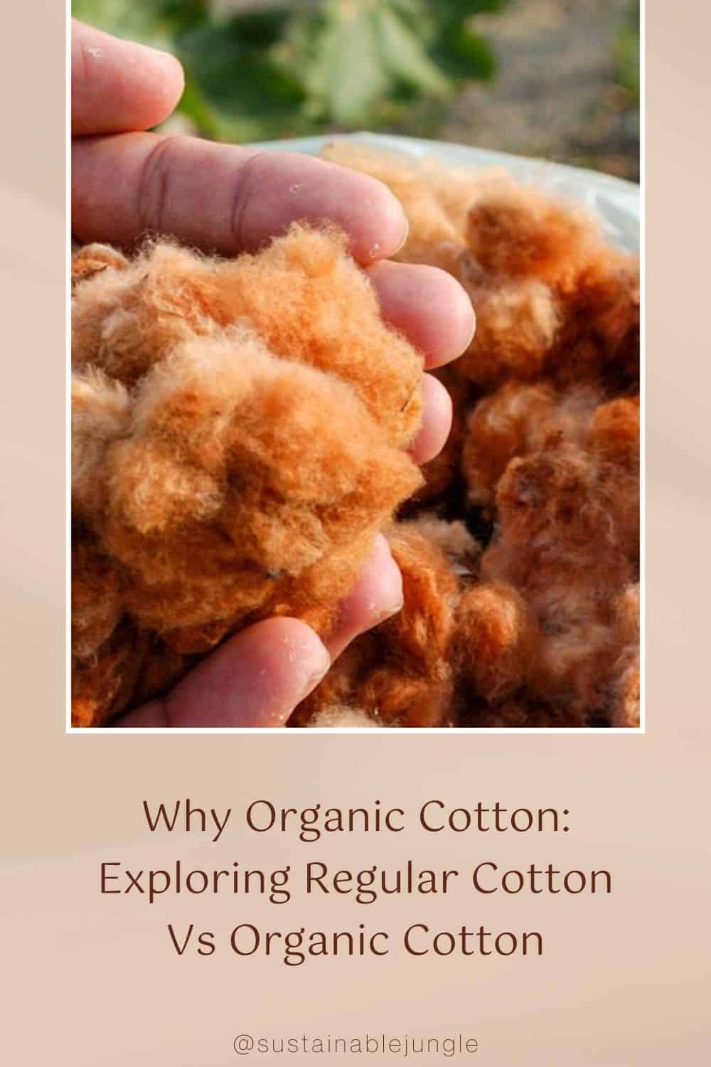 Why Organic Cotton: Exploring Regular Cotton Vs Organic Cotton Image by cacio murilo de vasconcelos via Getty Images on Canva Pro #cottonvsorganiccotton #organiccottonvscotton #convetionalcottonvsorganiccotton #bcicottonvsorganiccotton #sustainablejungle