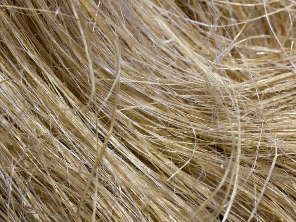 What Is Hemp Fabric?: High-ly Overrated Or Super Sustainable? Image by dmitry_7 #hempfabric #whatishempfabric #hempfabricclothing #hempsustainability #organichempfabric #benefitsofhempfabric #sustainablejungle
