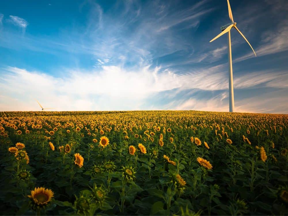 Power To The Planet: What Is Renewable Energy? Image by Gustavo Quepón #whatisrenewableenergy #bestrenewableenergy #whyrenewableenergy #renewableenergyexamples #whatarerenewableenergysources #sustainablejungle