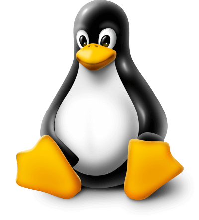 Linux Kernel