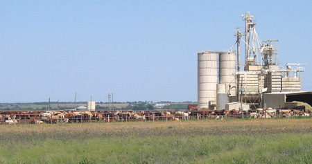 Texas Agriculture