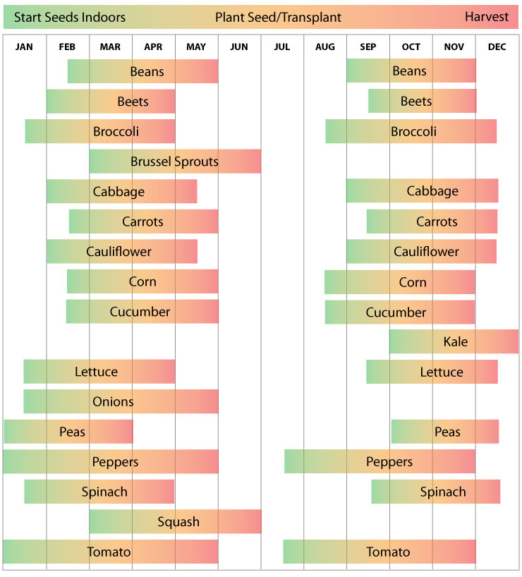 Zone 9 Louisiana Planting Schedule