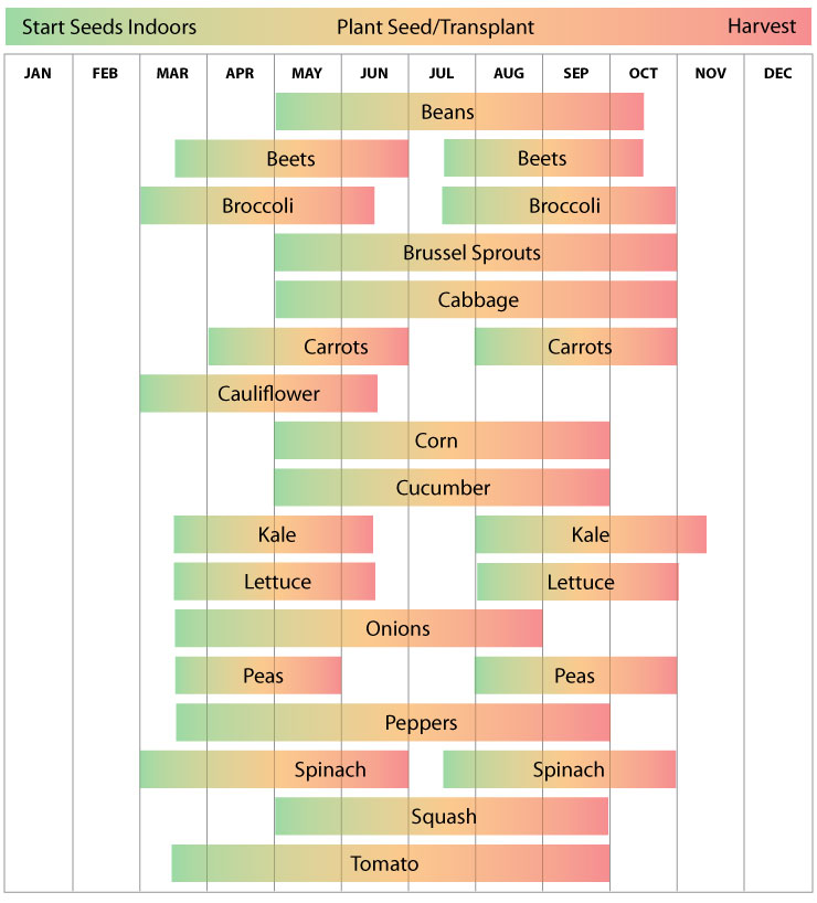 Zone 6 Iowa Garden Schedule