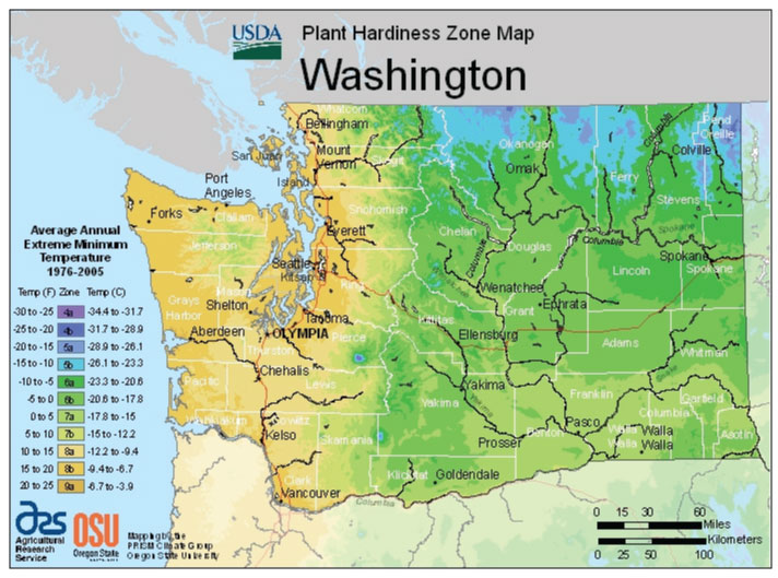 Washington Zone Hardiness Map