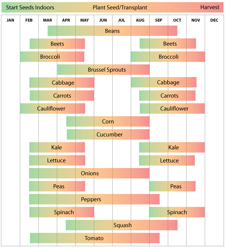 Zone 8 Washington Garden Schedule