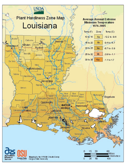 Louisiana Zone Hardiness Map