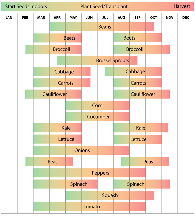 Zone 7 Washington Garden Schedule