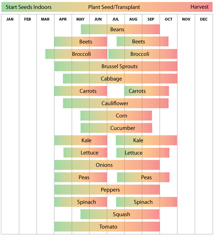 Zone 5 Washington Planting Schedule