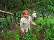 United Nations Forum on Forests Photo Competition