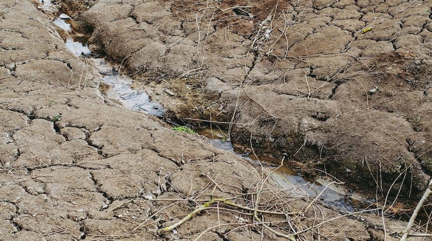 Drought in Madagascar 